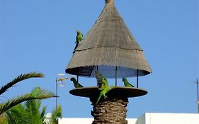 La Kasita In Primavera